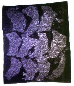 Finger Nails Painted in Mifu's Manner, 1995 Yang Jiechang